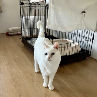 甘えん坊の　いおりくん