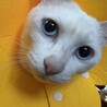  さん