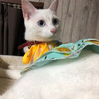 あめ