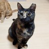 浦和キャッツ