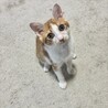 ねこたろうさん さん