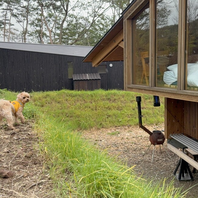 miso323のカバー写真