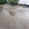 雨の日の公園は貸切