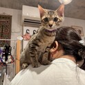 趣味は人間クライミング✨マウくん