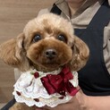 甘えん坊さん