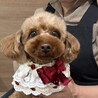 甘えん坊さん