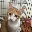 人懐っこくて優しい男の子????ライ君