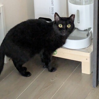 隠れがちな［きらりちゃん］のペースに合わせてね