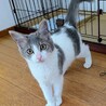 生後5ヶ月のチェルシーちゃん サムネイル3