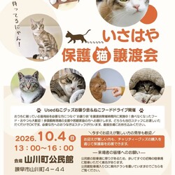 いさはや保護猫譲渡会