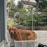 の写真