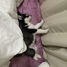 の写真