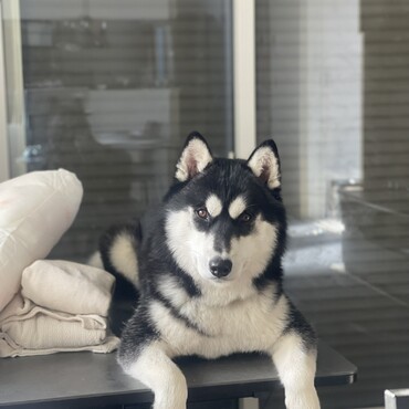 の写真