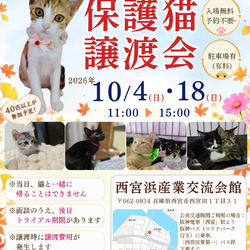 西宮保護ねこ かぎしっぽ主催譲渡会