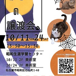 猫の譲渡会　in　名古屋市昭和生涯学習センター