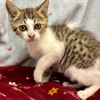 9/27千駄木で待ってます❤️ジュン