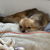 ミロ