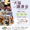 香川県出身野犬の仔犬【サム】 サムネイル7