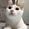 お出迎え得意！甘えん坊‪‪の‬ポンポン君‪‪❤︎‬