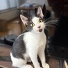 お膝大好き男子‪‪❤︎‬もっくん