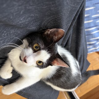 お膝大好き男子‪‪❤︎‬もっくん