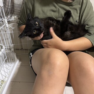 もふもふ長毛ボーイ✨オンニくん