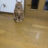 どうか可愛がってあげてほしい。
