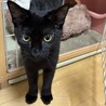 【10/18月島】元気いっぱい！好奇心旺盛の男の子 サムネイル7