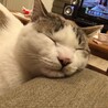 9歳　生涯家族として大切にしてくださる方募集