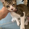 いつもご機嫌能天気Boy キムチ君 サムネイル2