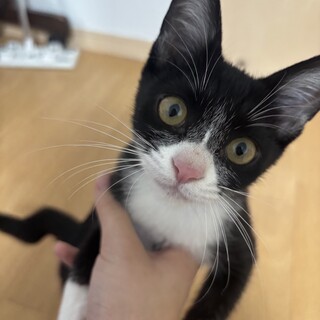 人懐っこいです！！