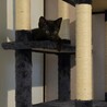 僕たち一緒がいいな♪シャム柄のシャム、黒猫のユキチ サムネイル2