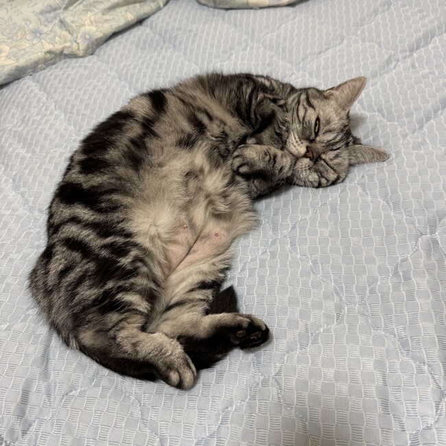ヨコタさんのカバー写真