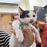可愛い盛りの子猫たち❤️もず・まり・みり サムネイル2