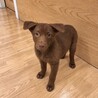 甘えん坊の3ヶ月男の子 サムネイル2