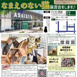 保護猫達の譲渡会　１０月の予定