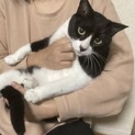 シャー猫からの大変身！！昔の様子も見てね