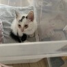 みよぱん さん