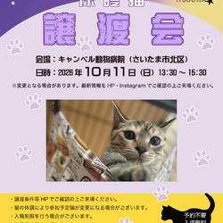 キャンベル動物病院保護猫譲渡会