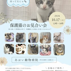 保護猫の譲渡会