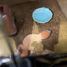 レオパードゲッコー　マンダリン　3歳程　ケージあり サムネイル2