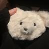 くろちゃん？