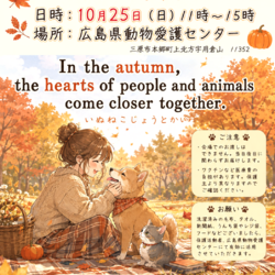 犬猫譲渡会