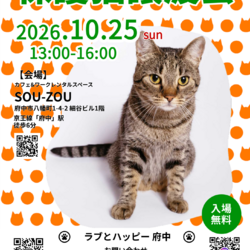 10/25ラブとハッピー府中【保護猫譲渡会】