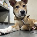 人見知りの甘えん坊 ぼくくん