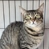S字フック君 サムネイル4