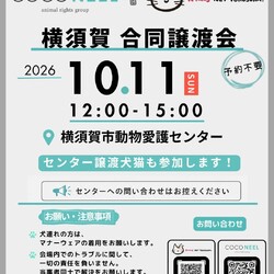 横須賀合同譲渡会