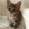 ララちゃんふわふわちゃん