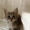 ララちゃんふわふわちゃん サムネイル2