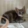 ララちゃんふわふわちゃん サムネイル3